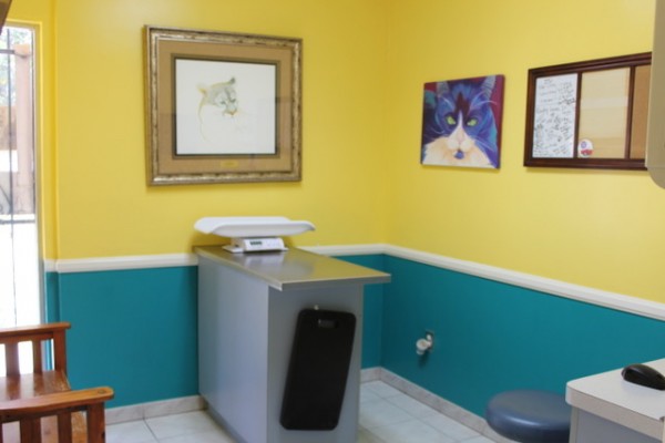 Exam room